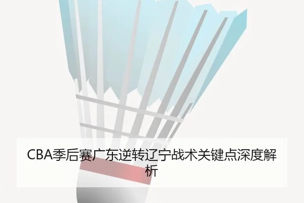 CBA季后赛广东逆转辽宁战术关键点深度解析