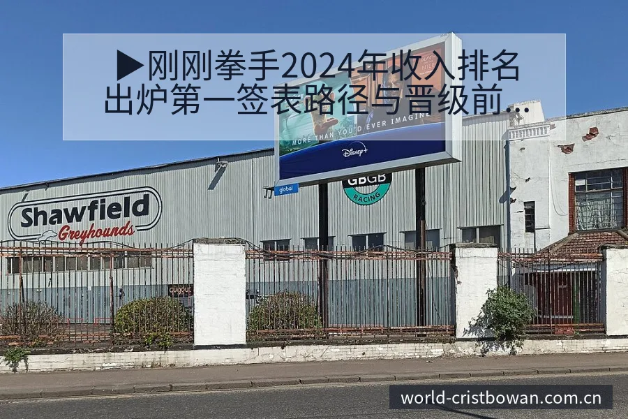 ▶刚刚拳手2024年收入排名出炉第一签表路径与晋级前景阵 - 博万体育